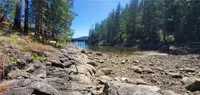 View 60