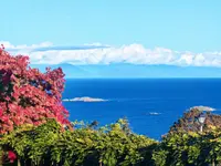View 80