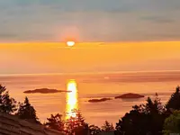 View 81