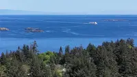 View 4