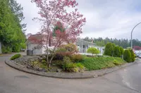 View 53