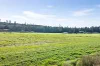 View 11