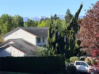 View 46