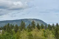 View 61
