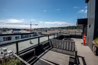 View 50