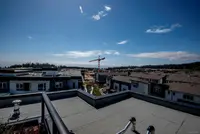 View 39