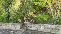 View 53