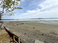 View 51