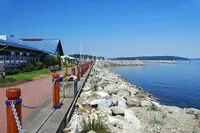 View 49