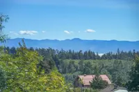 View 24