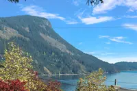 View 53