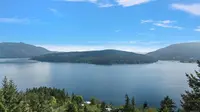 View 54