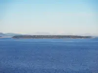 View 39