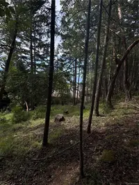 View 10
