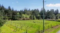 View 38