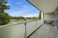 View 14