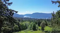 View 43