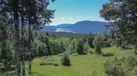 View 44