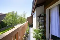 View 38