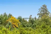View 36