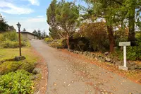 View 50