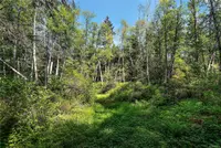 View 32