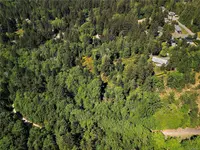 View 39