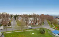 View 44