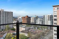 View 23