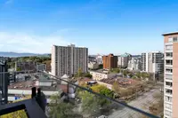 View 24