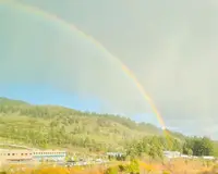 View 75