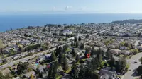 View 41