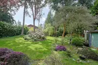 View 39