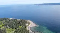 View 14