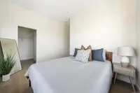 View 15