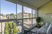View 14