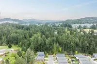 View 39