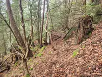View 19