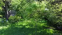 View 66