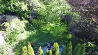 View 65