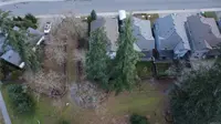 View 69