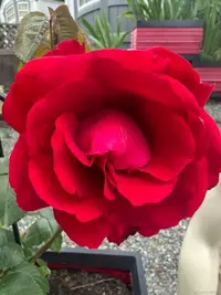 View 45