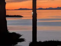 View 81