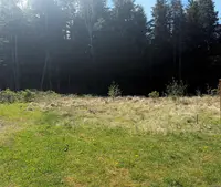 View 4