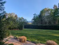 View 60