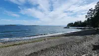View 46
