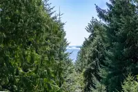 View 23