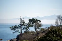View 45