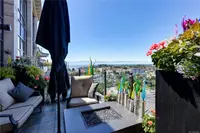 View 41