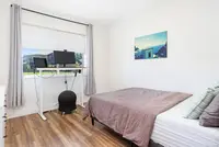 View 14